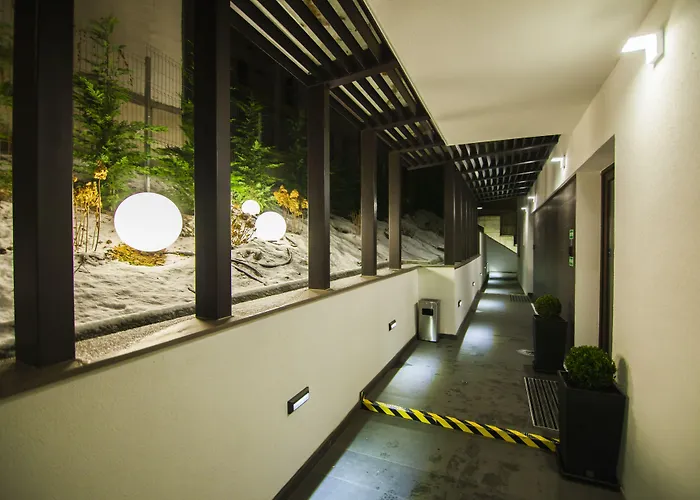 Business Class Kluż-Napoka