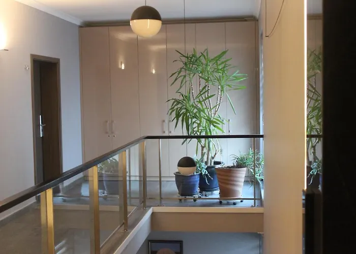 Business Class Kluż-Napoka